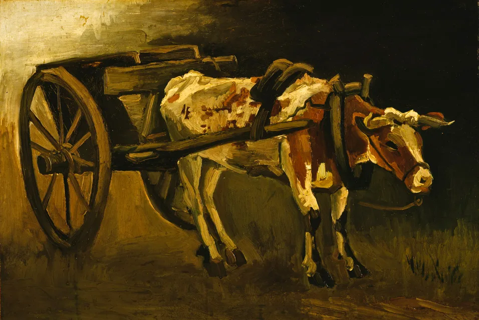 The ox cart: red and white ox