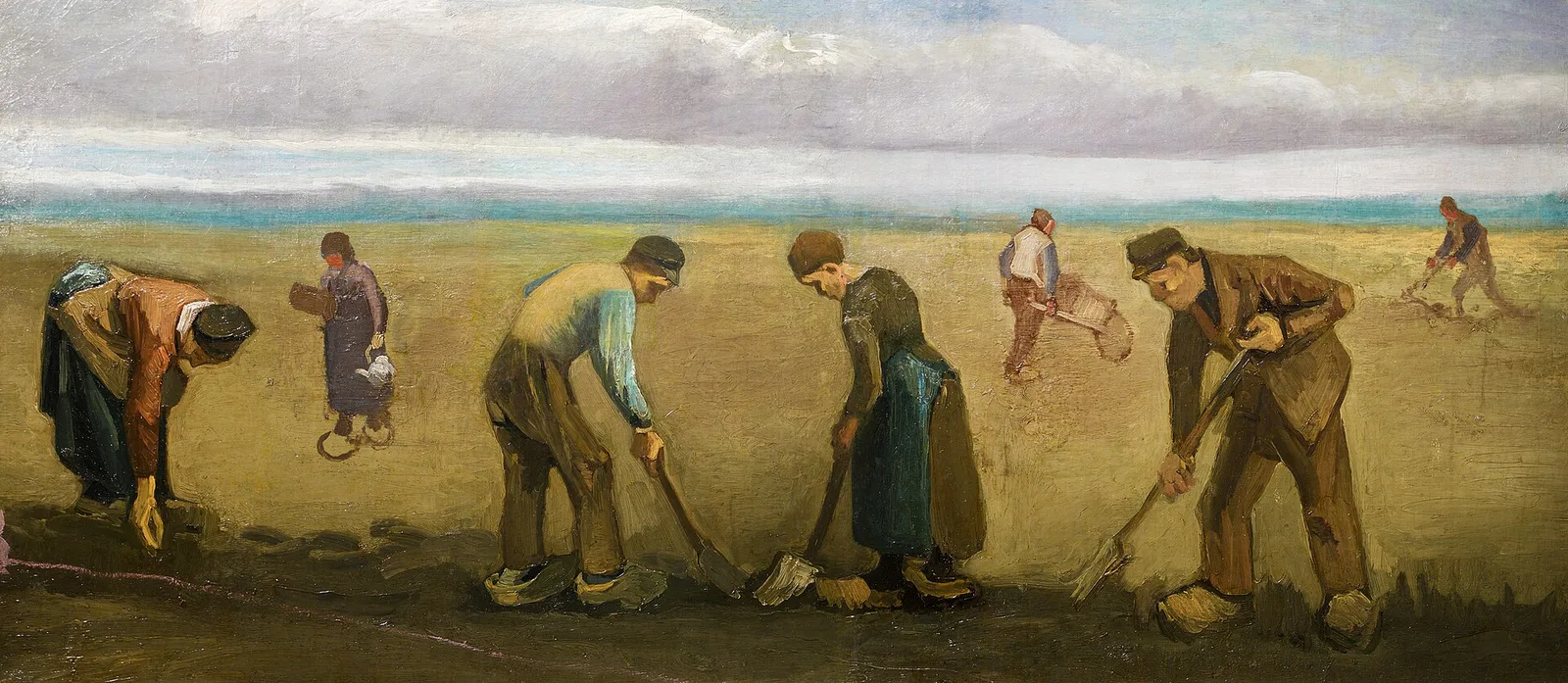 Potato planting