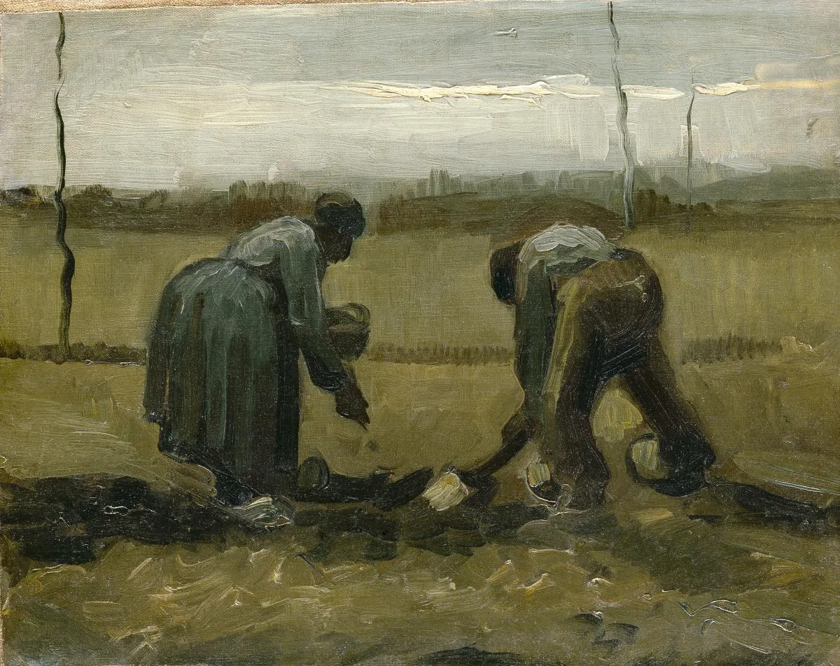 Potato planting: a man and a woman
