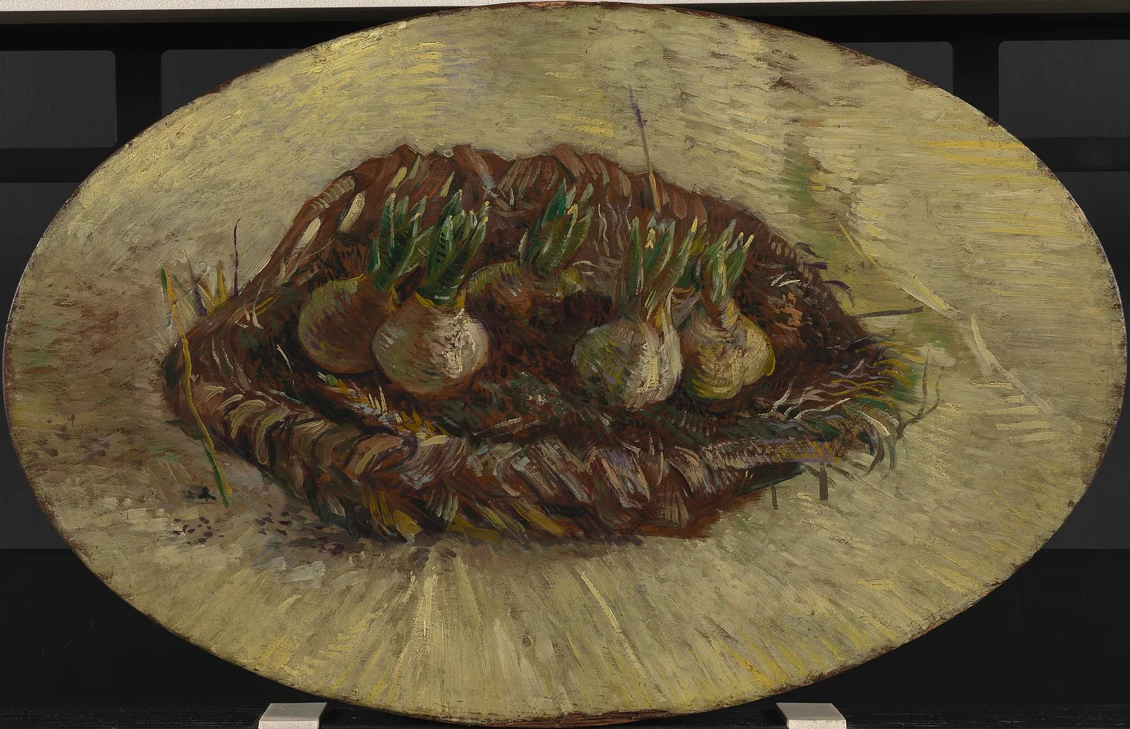 Still life: basket of bulbs