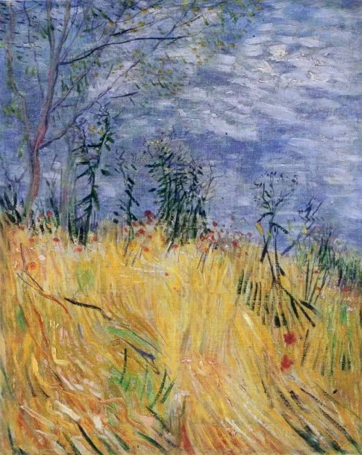 Edge of a wheatfield