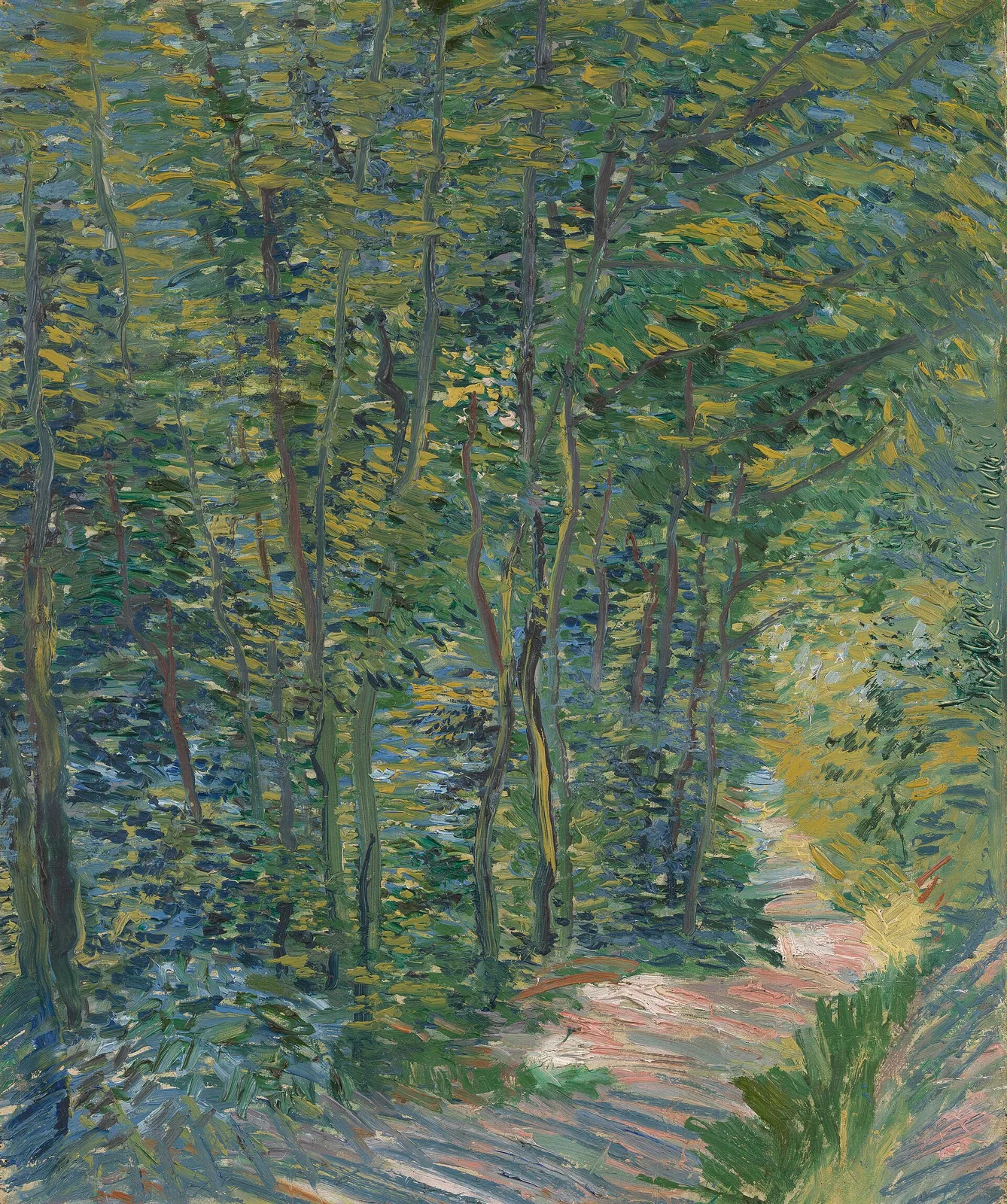 A path in the woods