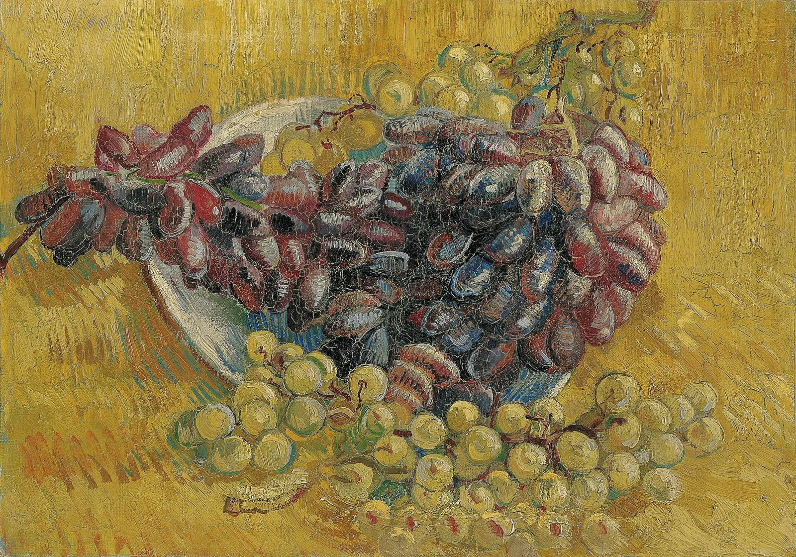 Still life: grapes