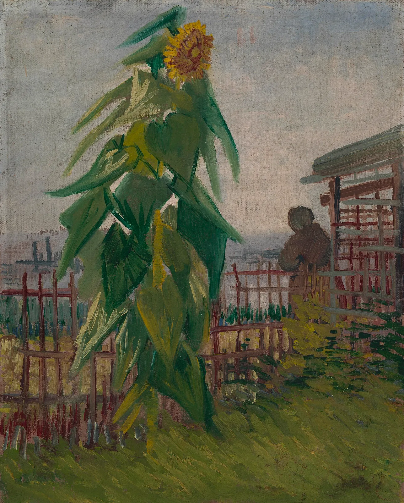 Garden with sunflower