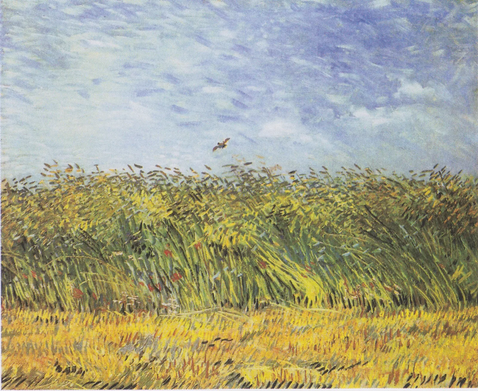 A wheatfield with a lark