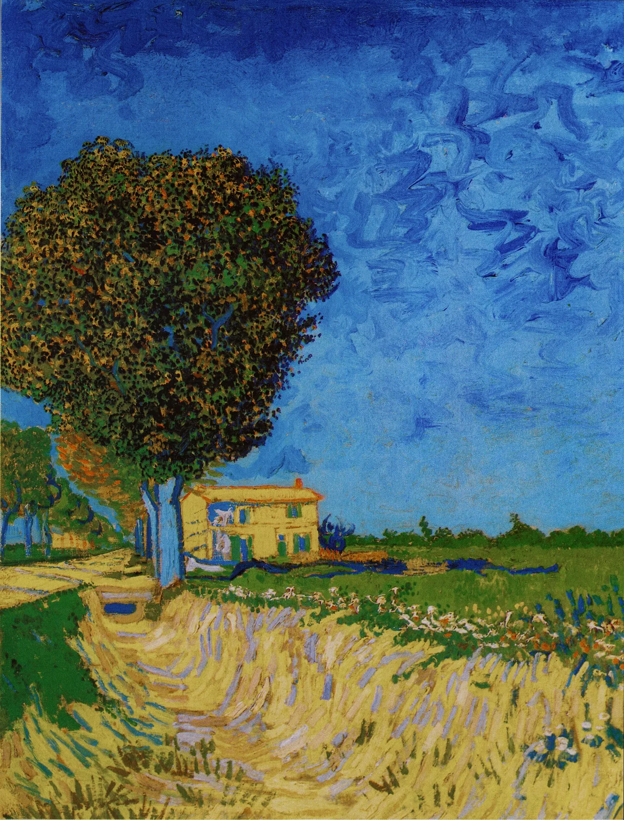 A walk near Arles