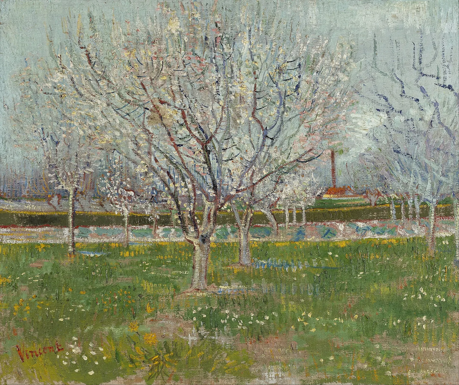 A corner of the orchard