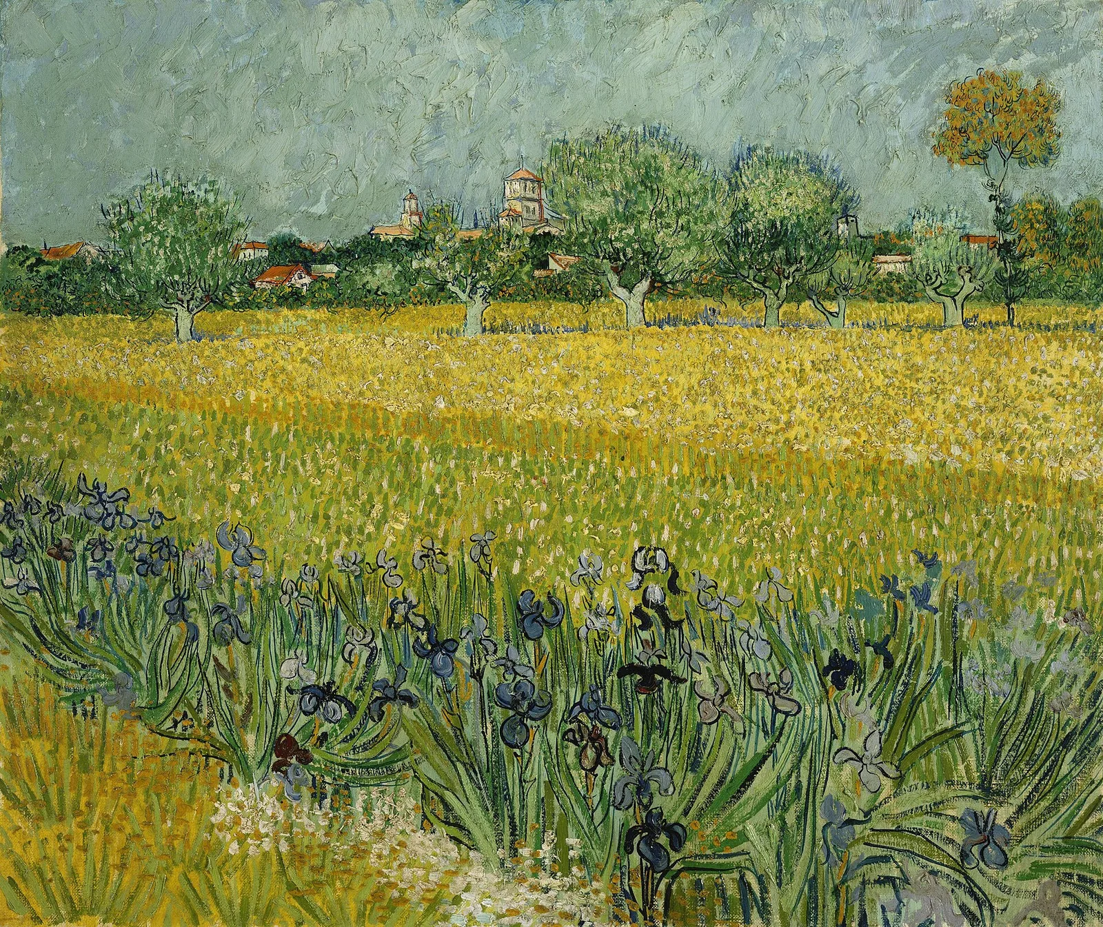View of Arles with irises in the foreground
