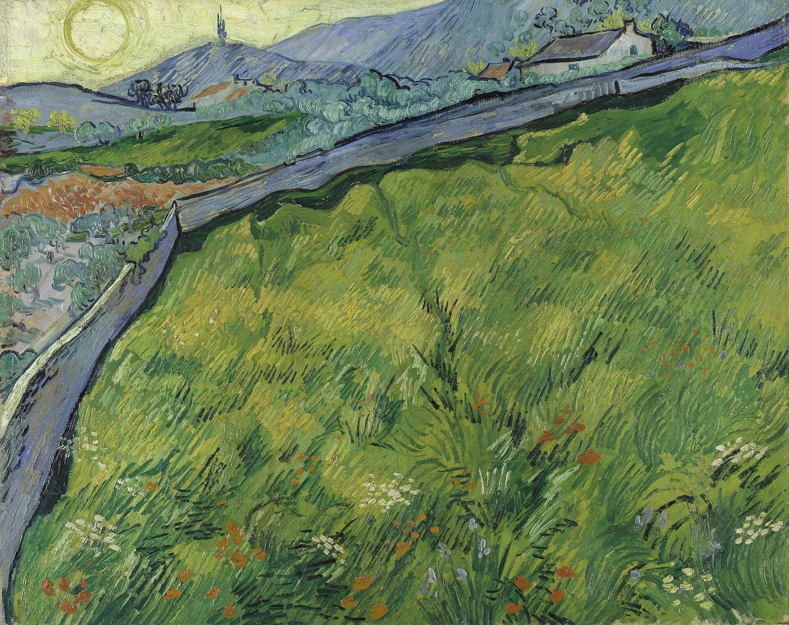 The field enclosure
