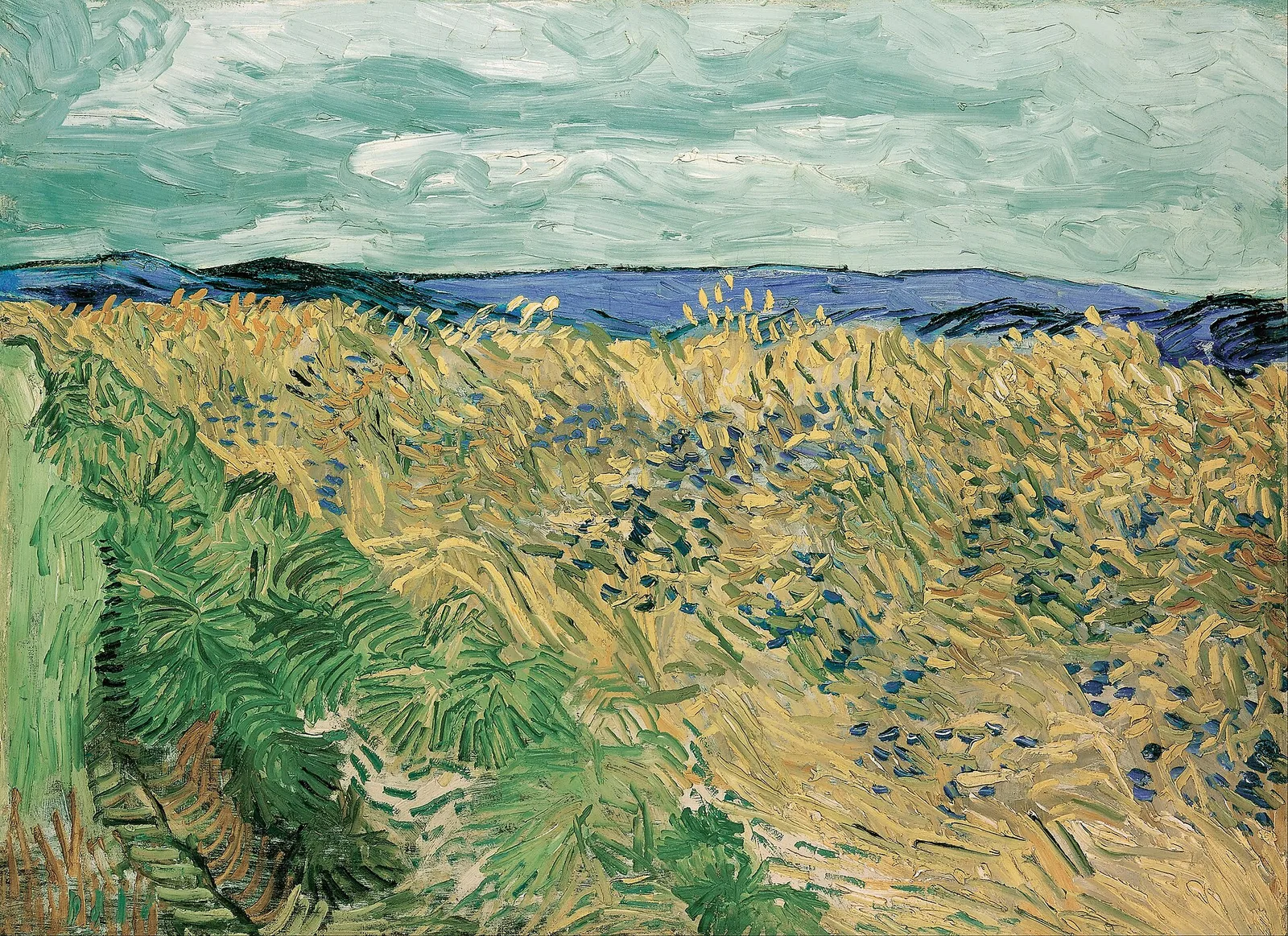 Wheatfield with cornflowers