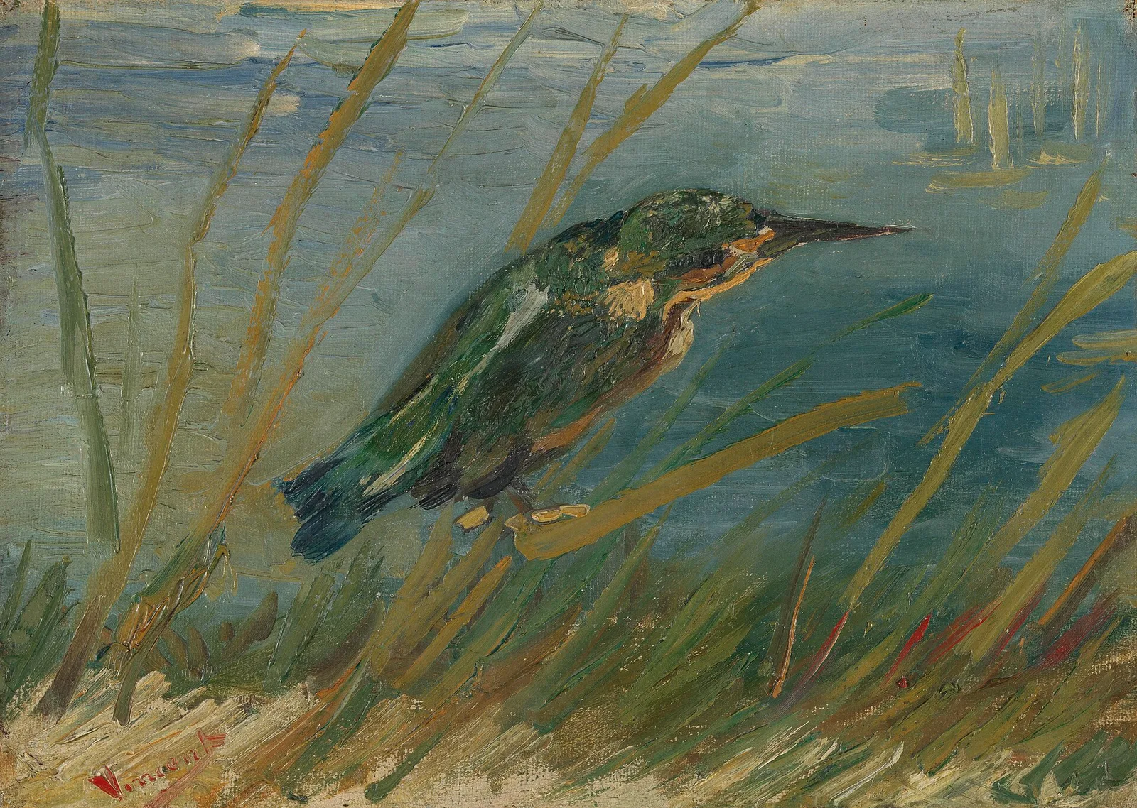 The Kingfisher