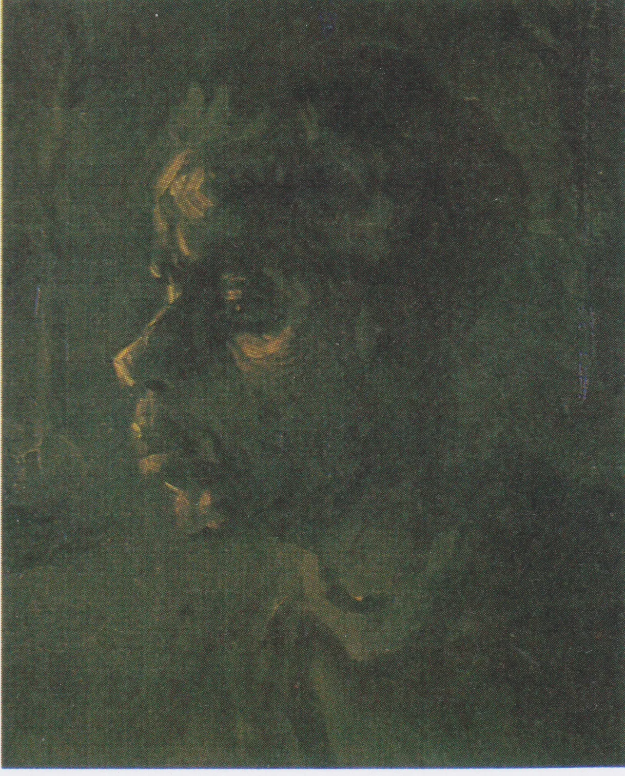 Head of a peasant woman: left profile