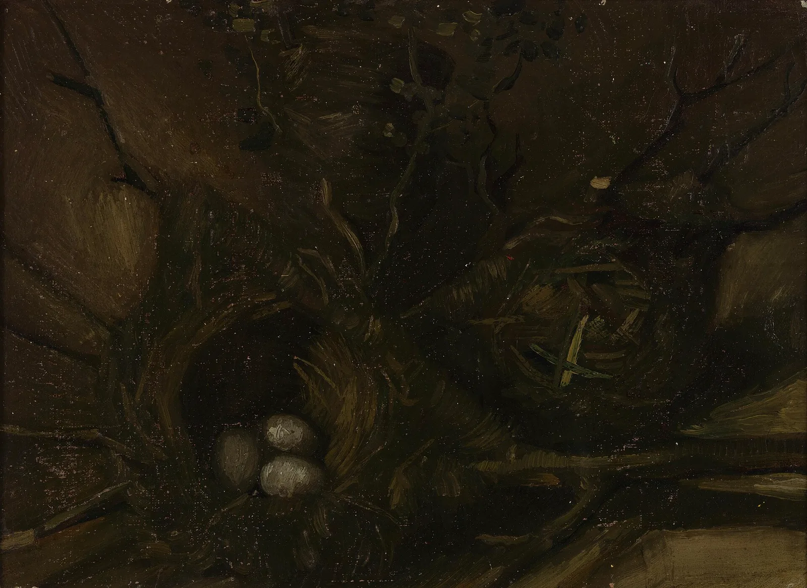 Two birds' nests