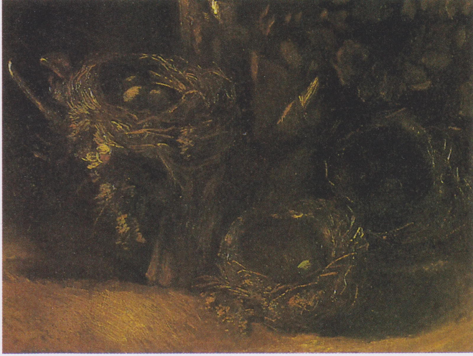 Three birds' nests with tree trunk and leaves
