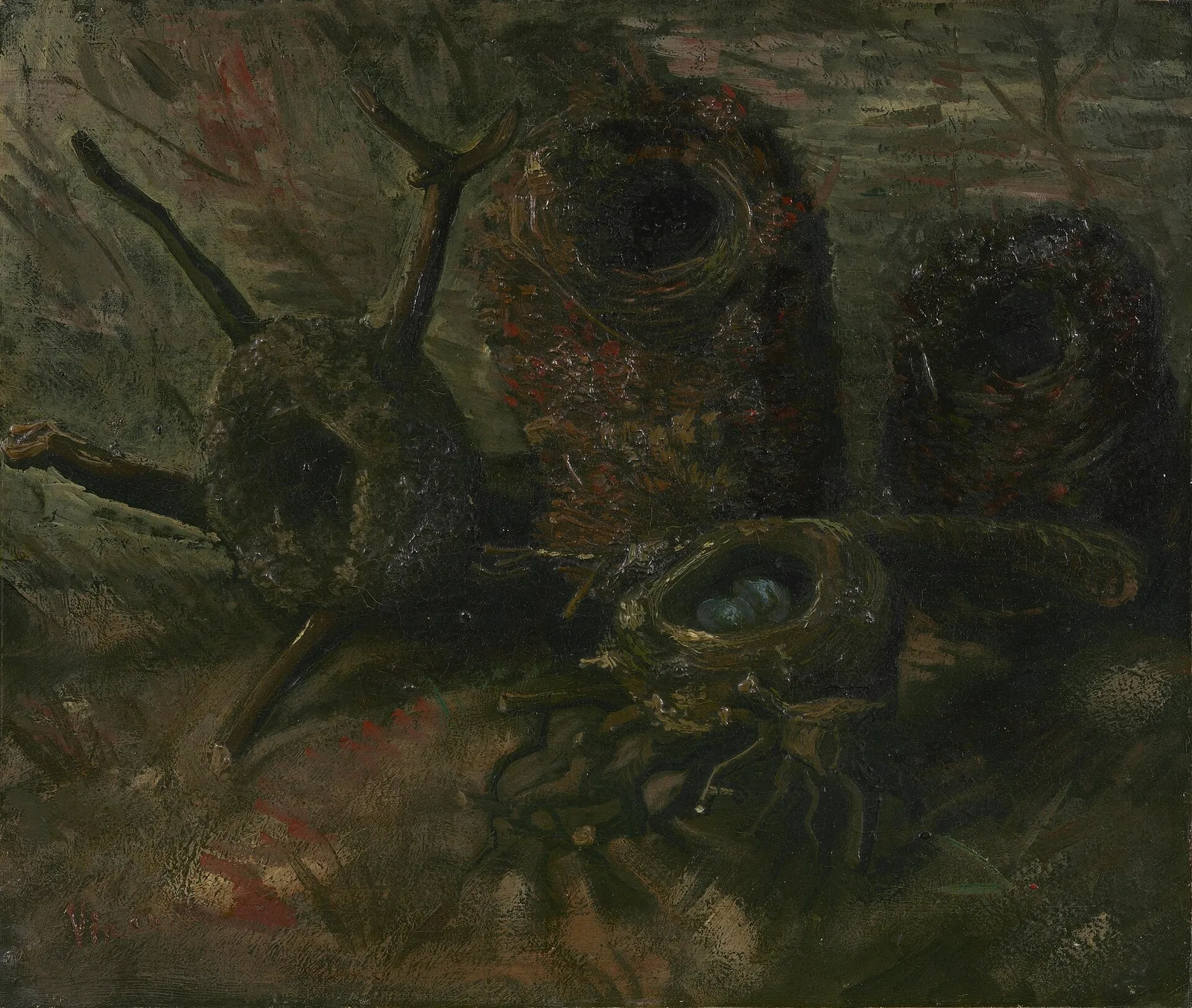 Four birds' nests against a light background