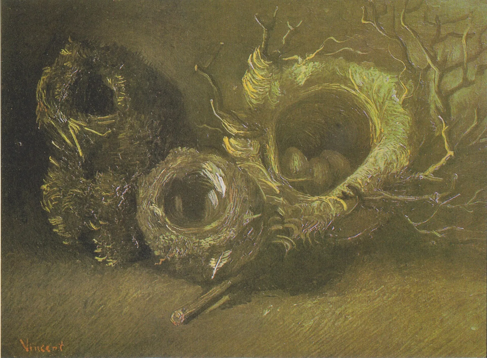 Three birds' nests