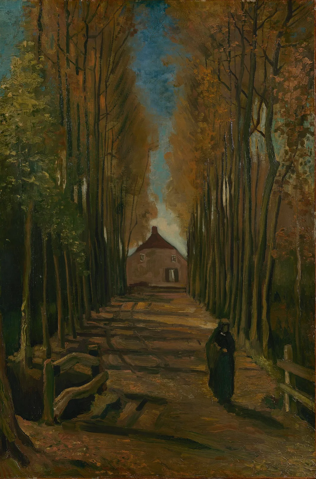 Avenue of poplars: autumn