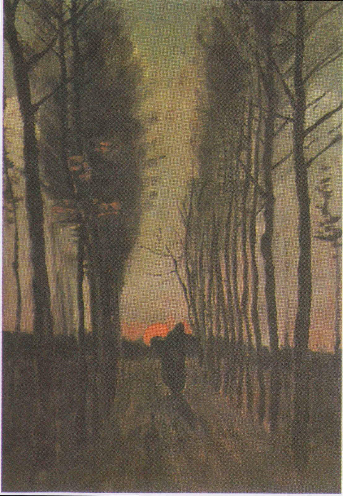 Autumn lane at sunset