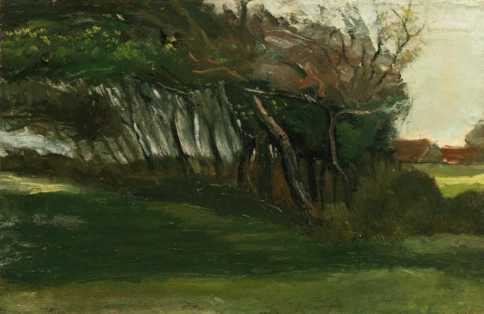 A row of trees