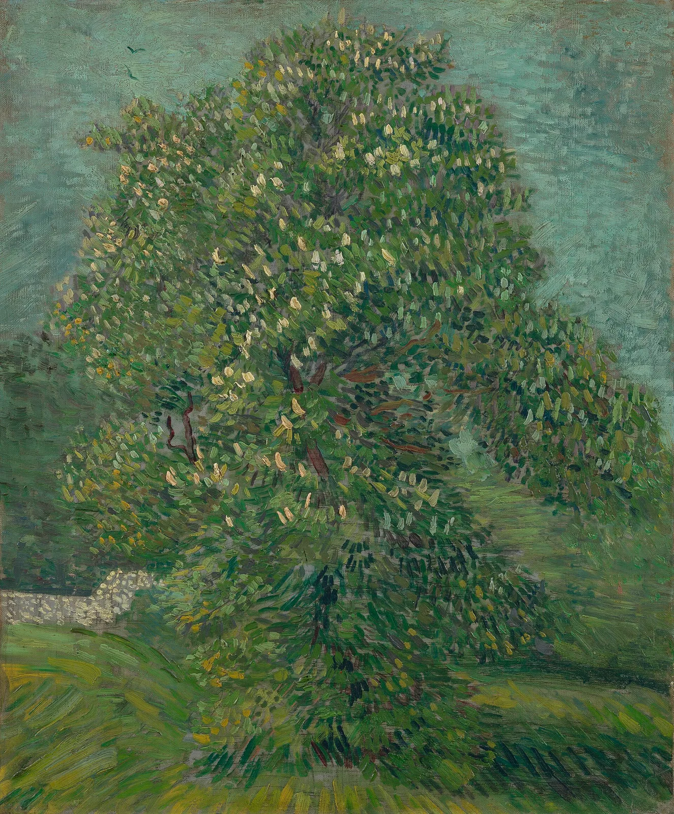 Chestnut tree in flower