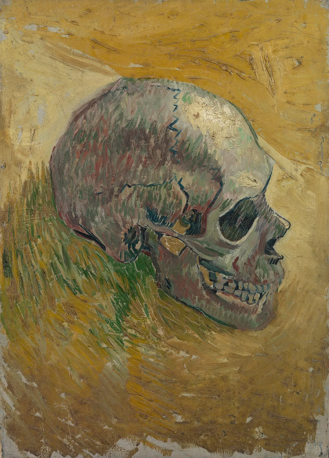 The skull