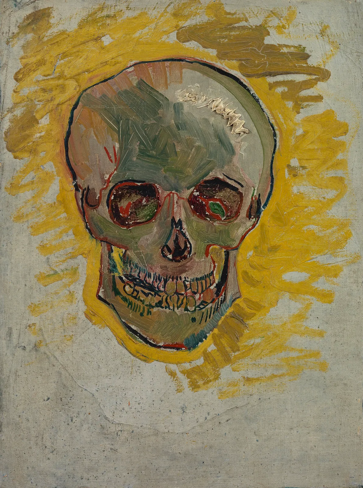 The skull