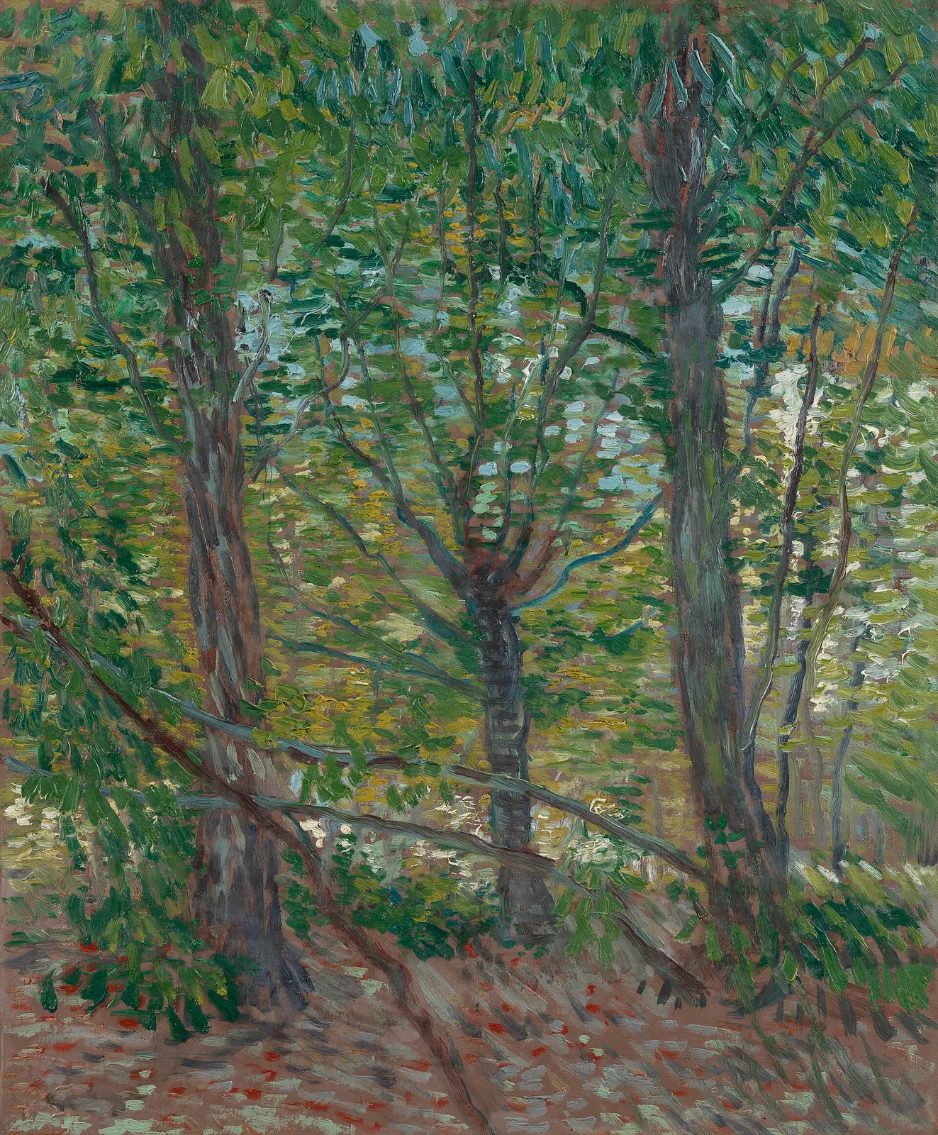 Undergrowth