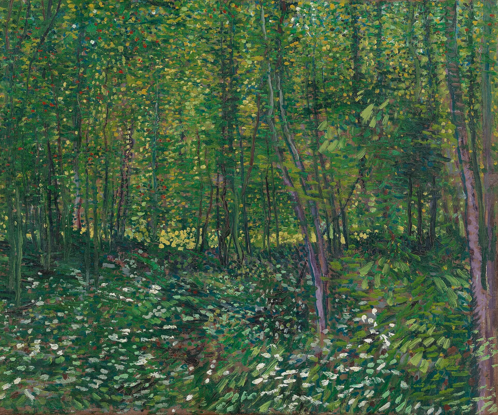 Undergrowth