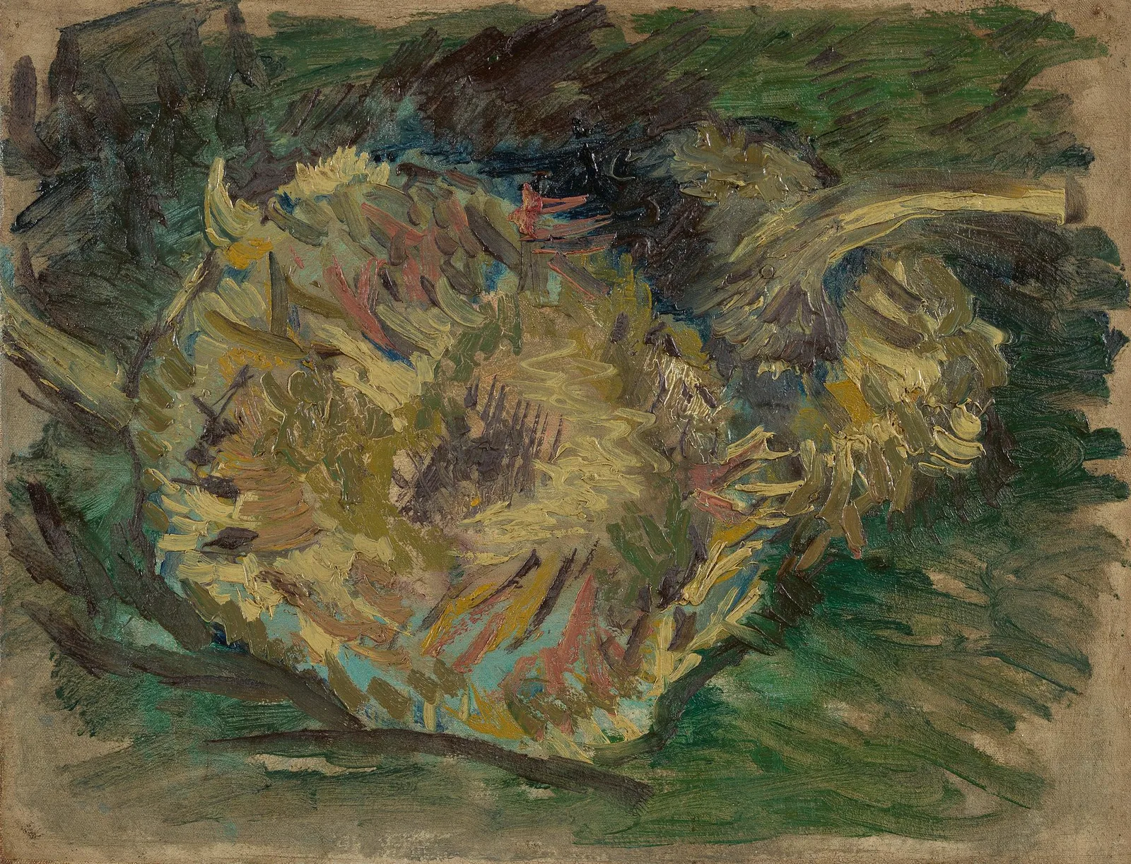 Still life: sunflower