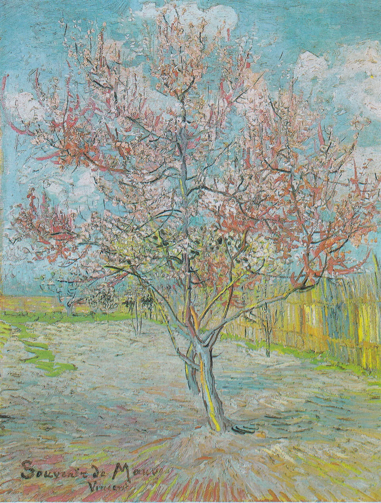 Pink peach tree in blossom [Souvenir de Mauve]
