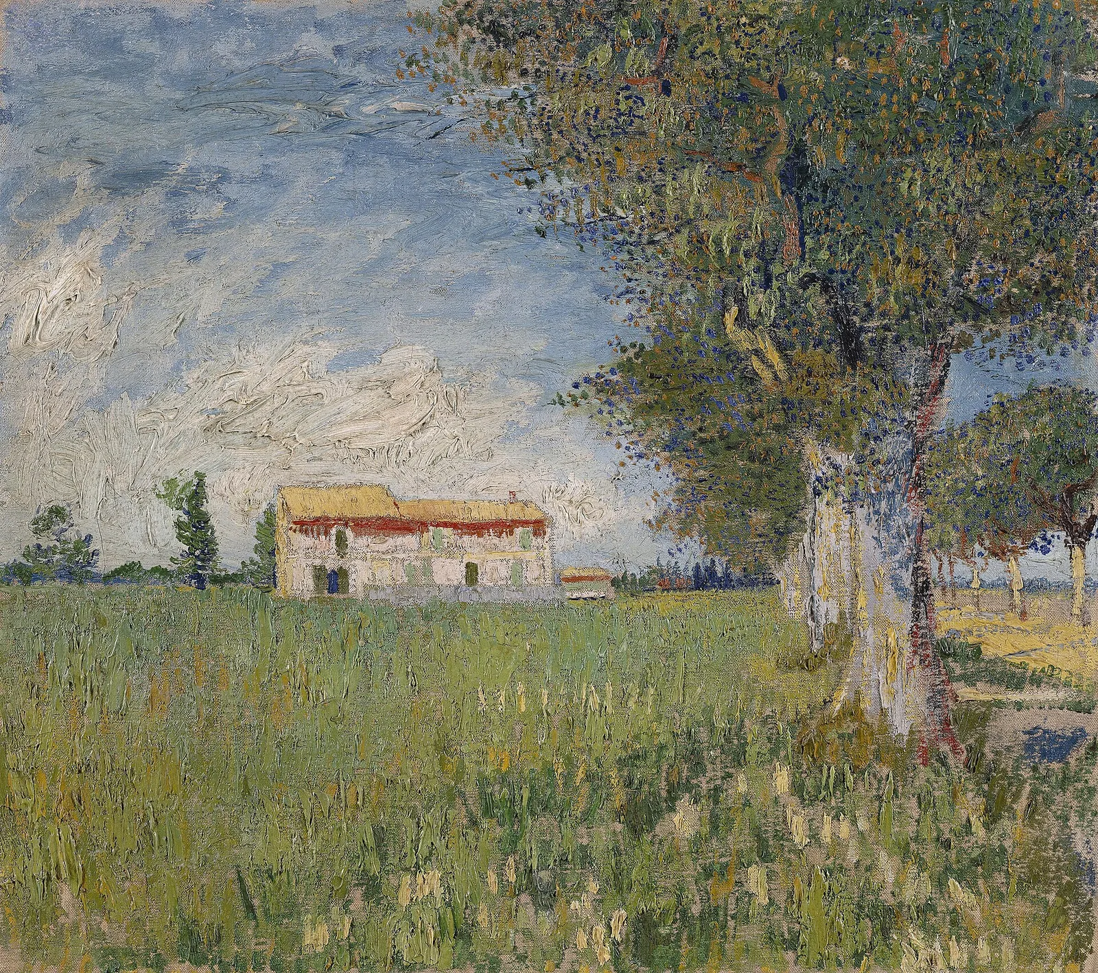 The farmhouse in the wheatfield
