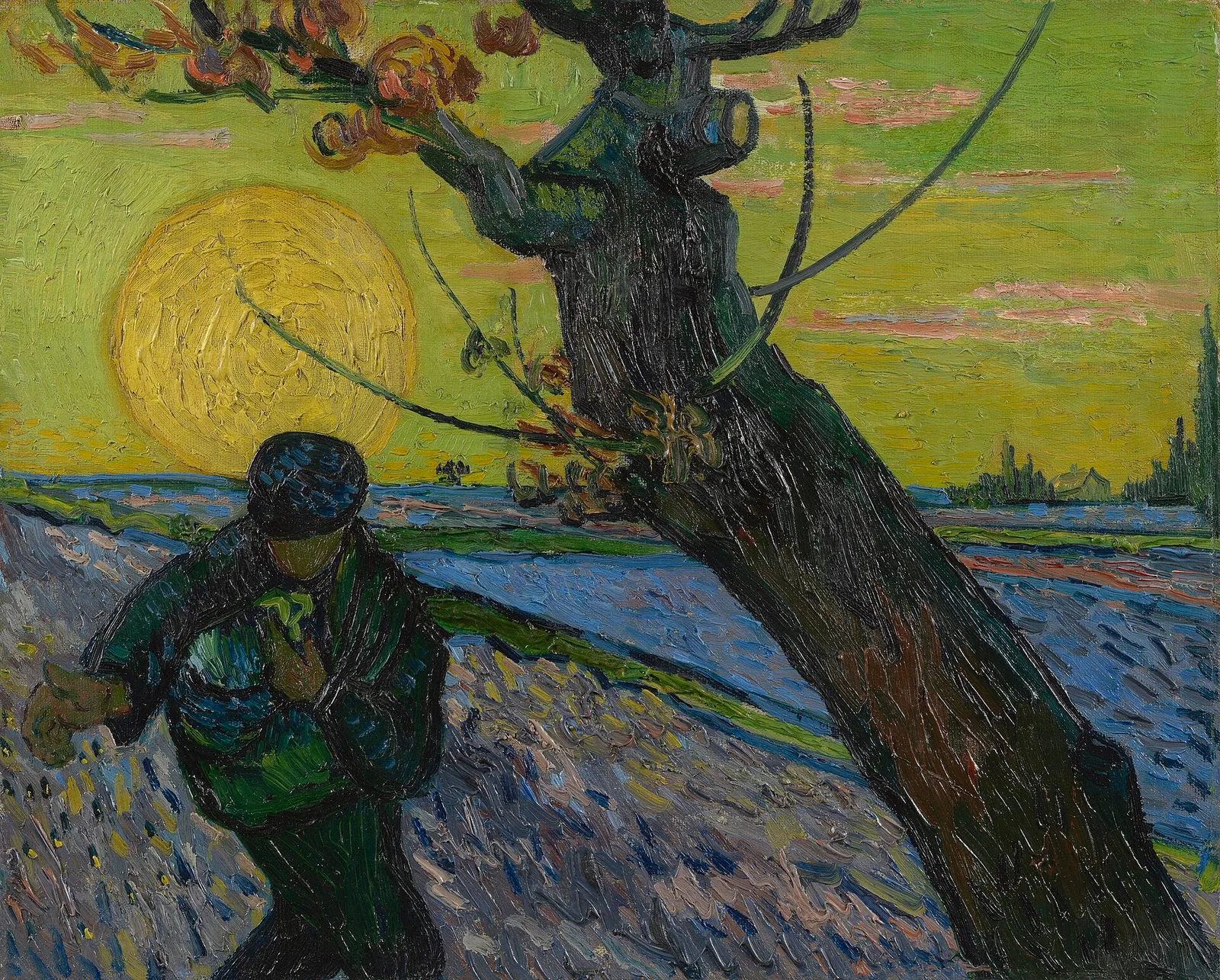 The sower