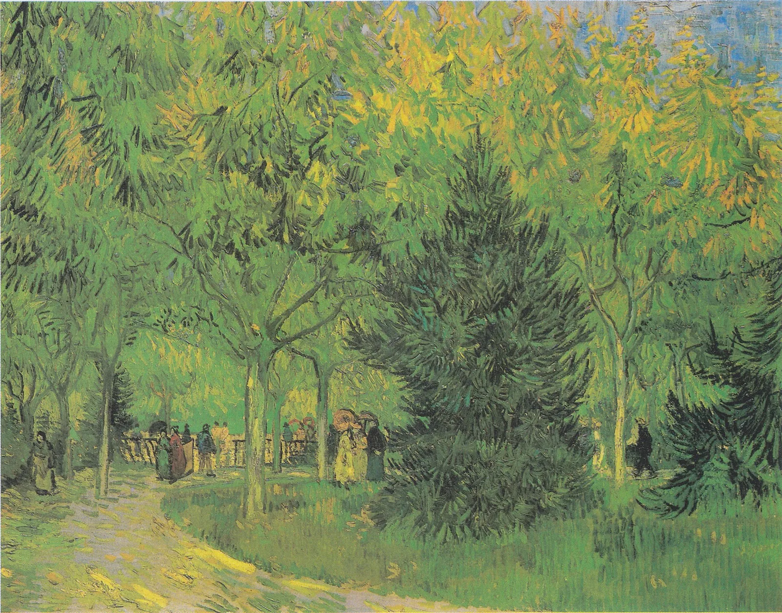 The cedar walk