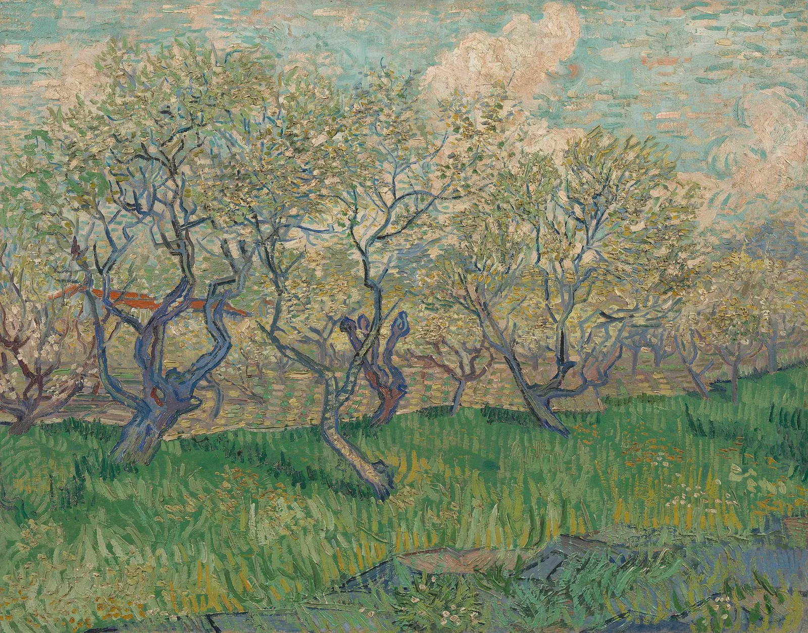 Orchard in blossom