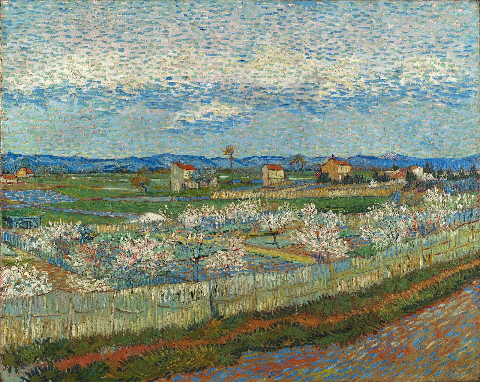 The plain of La Crau with orchard of peach trees