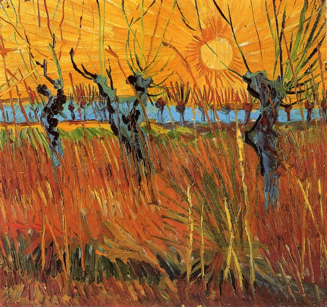 Willows at sunset