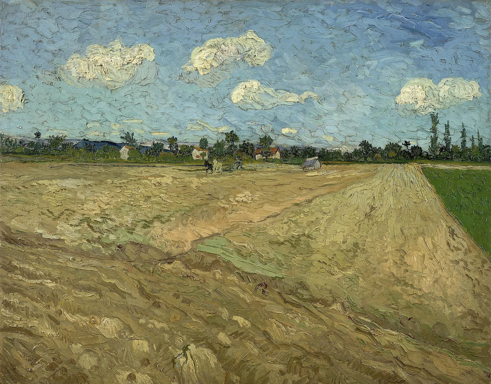 Plowed fields [the furrows]