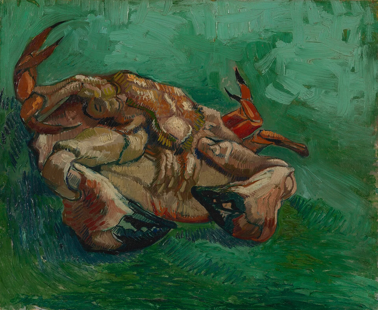 A crab upside down