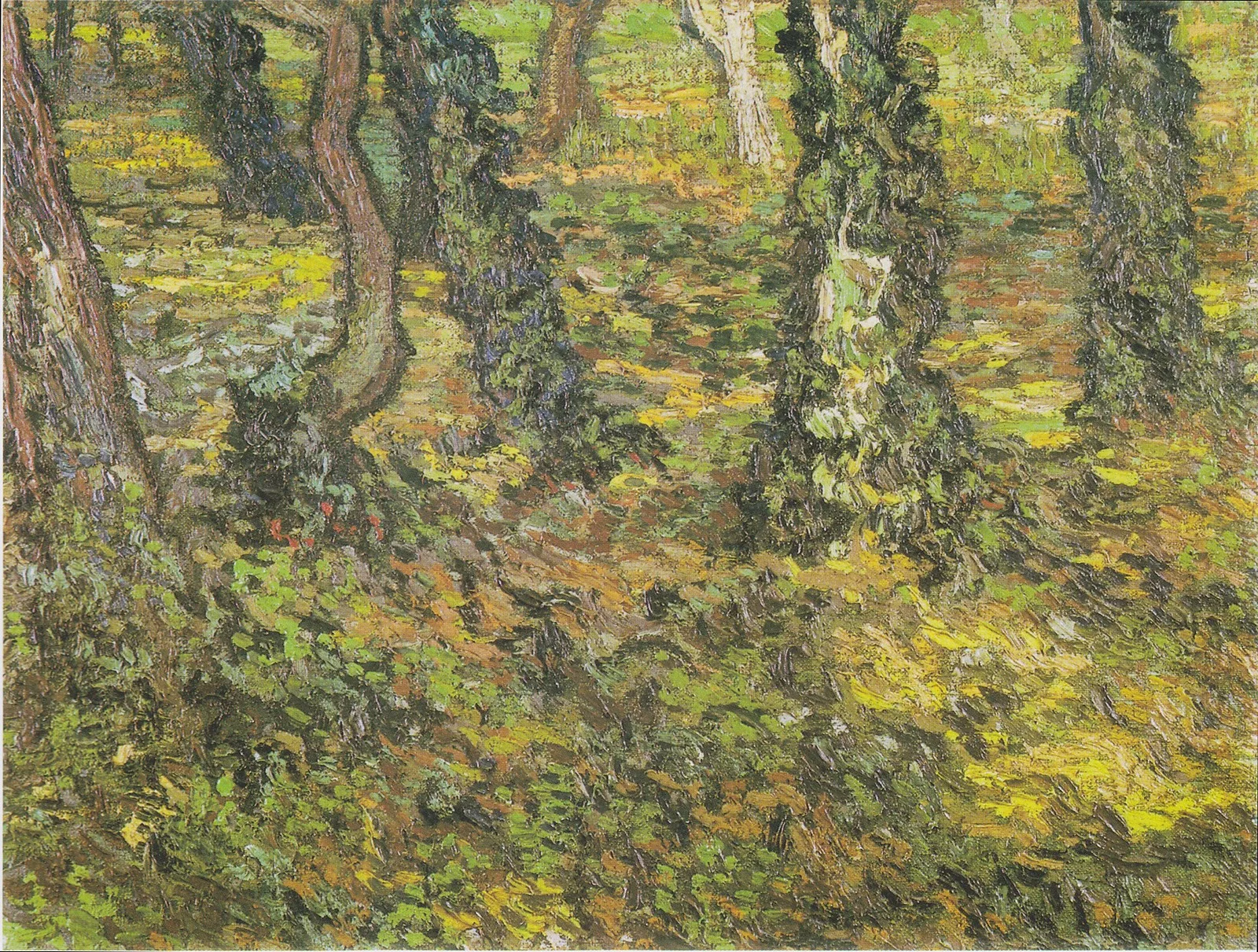 Undergrowth
