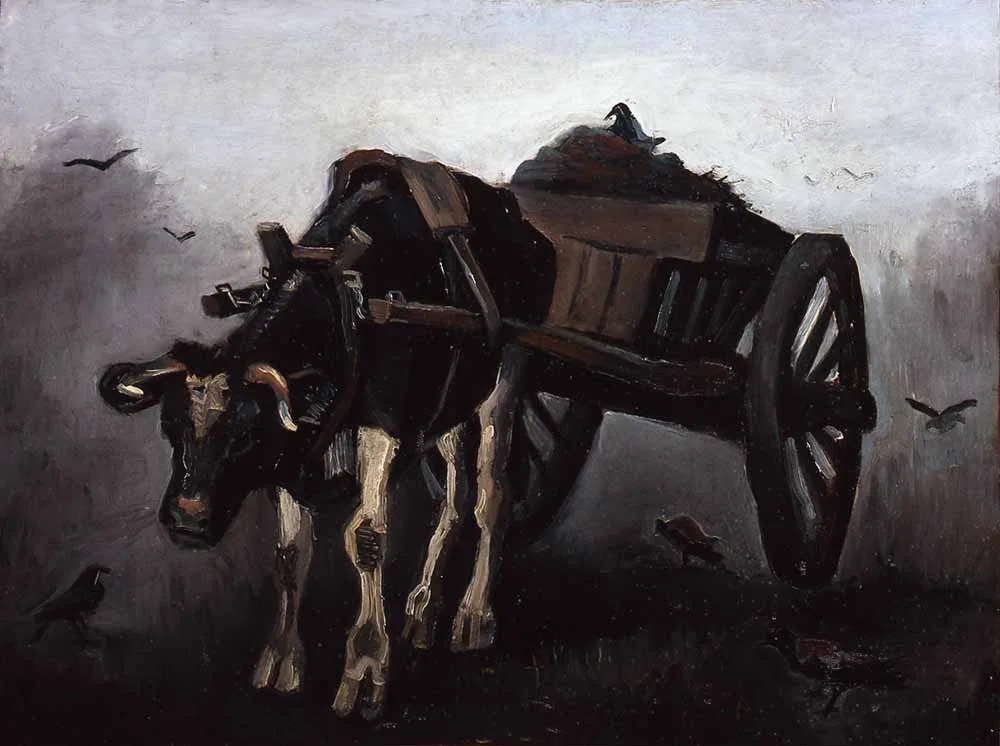 Ox cart: spotted black ox