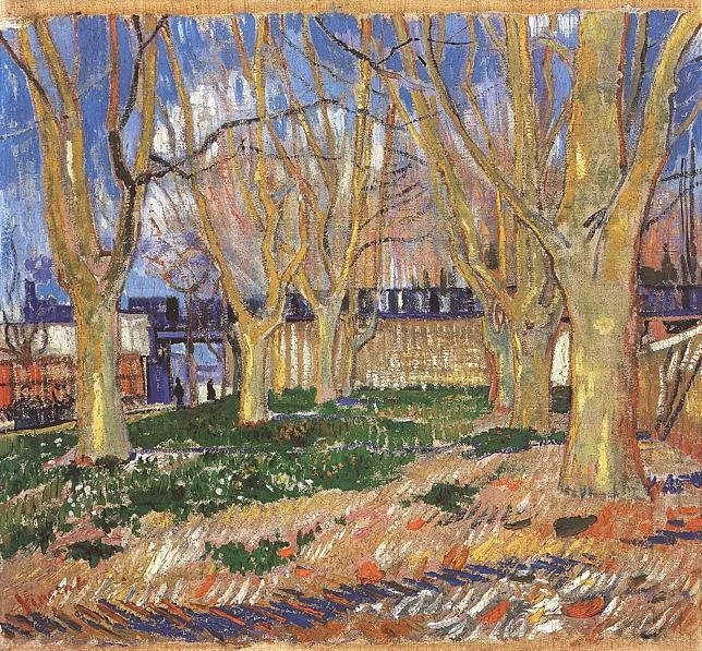 A venue of plane trees near the station