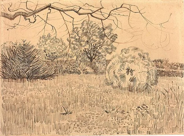 The park opposite the yellow house