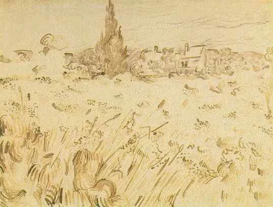 Wheatfield with cypress