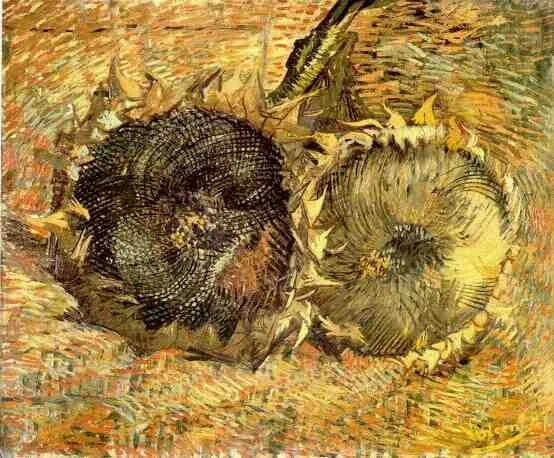 Still life: sunflowers
