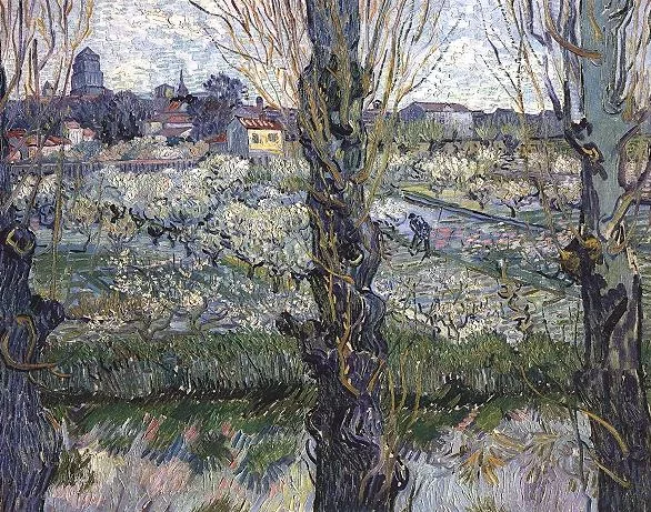 A view of Arles