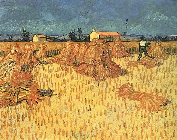Harvest in Provence
