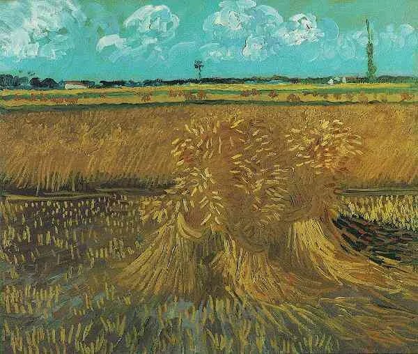 The wheatfield