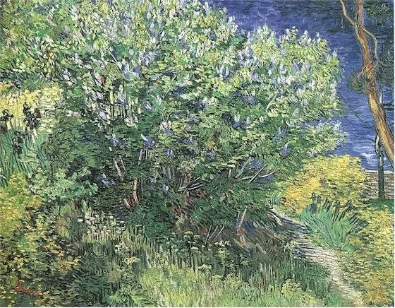 Bushes