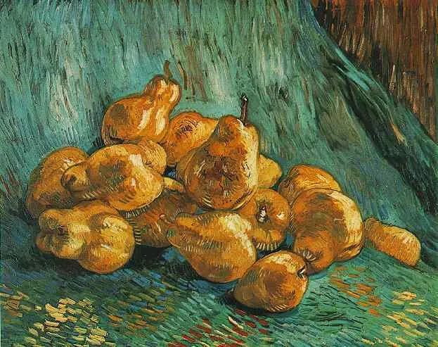 Still life: quince pears