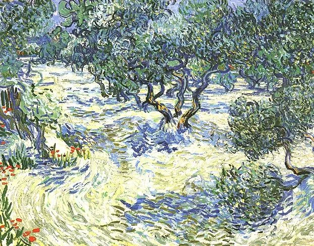 Olive trees
